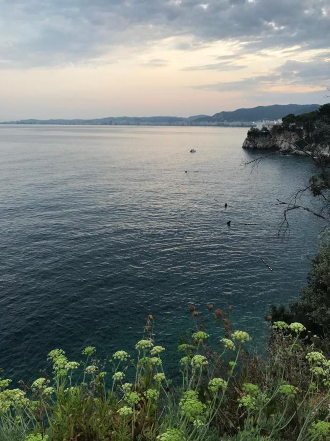 Aldi'S Guest House Vlorë 外观 照片
